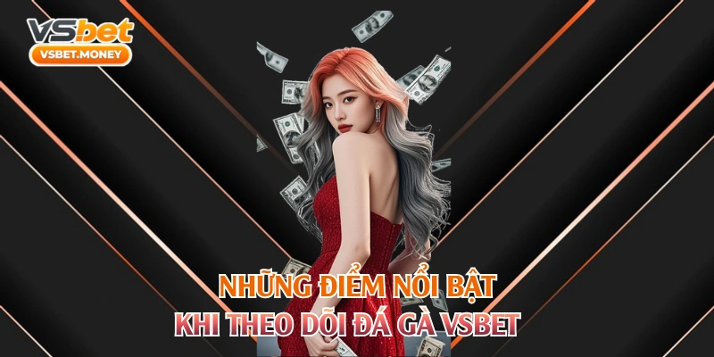 Những điểm nổi bật khi theo dõi đá gà VSBET